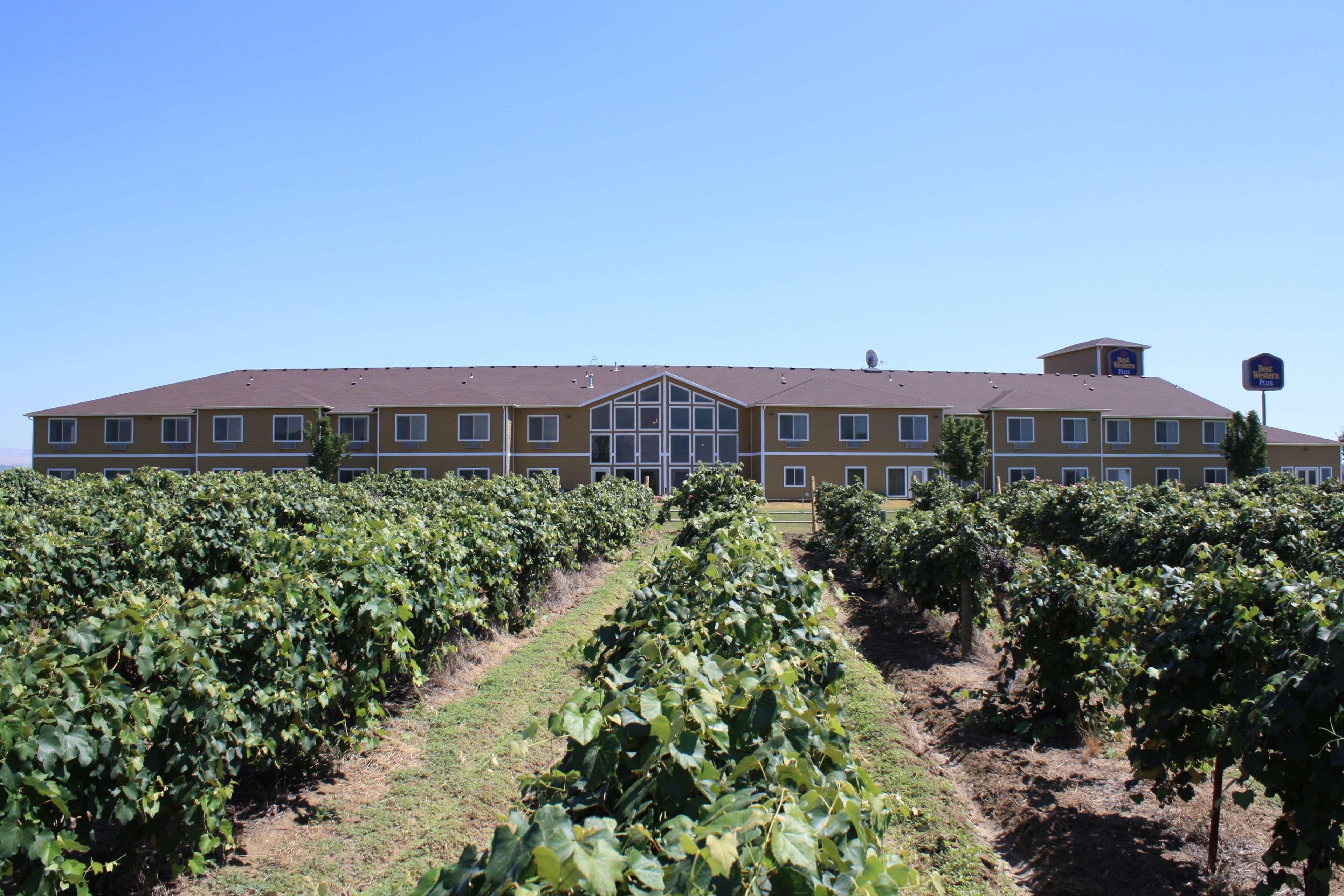 Best Western Plus Grapevine Inn Sunnyside Dış mekan fotoğraf